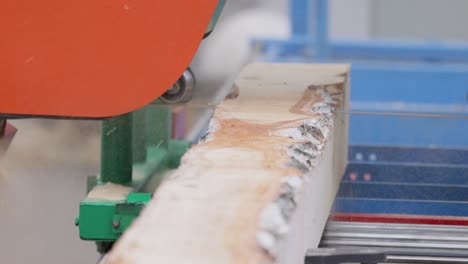 work of the sawmill in close-up. process of machining logs in equipment sawmill machine saw saws the tree trunk on the plank boards.