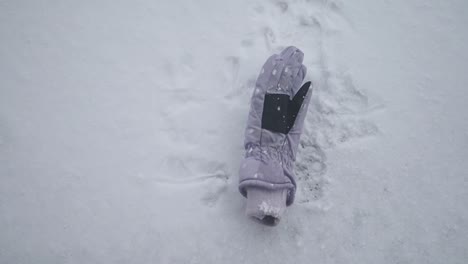 purple gloves in the snow