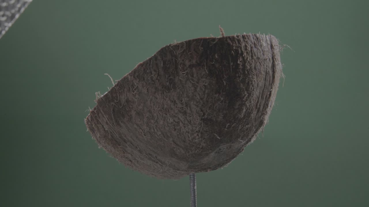 크로마 키를 위해 녹색 화면에 루프와 함께 코코 회전