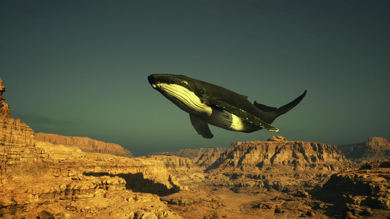 Whale soaring above the grand canyon landscape during golden hour