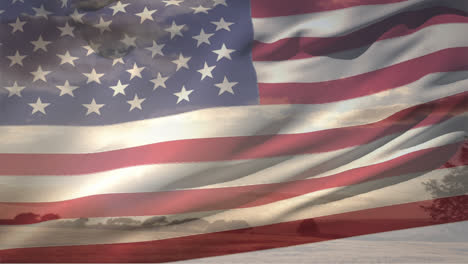 american flag and the ocean