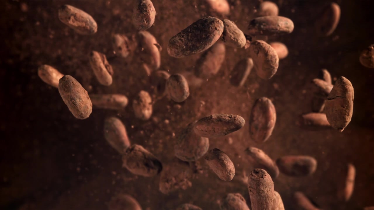 Cocoa Beans and Powder Falling in Slow Motion
