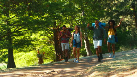 Grupo-De-Amigos-Con-Mochilas-De-Vacaciones-Caminando-Juntos-Por-El-Campo-Forestal