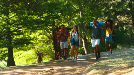 group of friends with backpacks on vacation hiking through forest countryside together