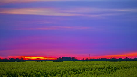 Sonnenuntergang-über-Einem-Gelben-Blumenfeld