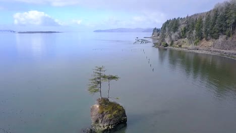 flying by solo tree on rock island in the bay with drone 1080p