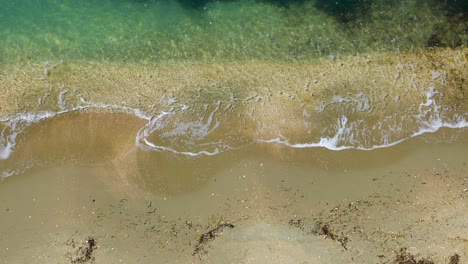 sandy beach washed by waves of calm sea on polluted shore with algae and garbage