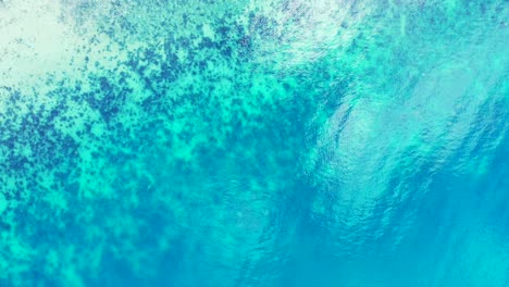 Sea-texture-with-beautiful-corals-and-rocks-under-calm-crystal-water-of-azure-lagoon-near-coastline-of-tropical-island-in-Caribbean