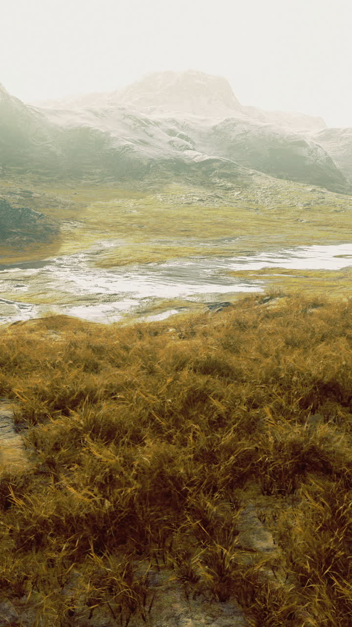 Golden grassland in a mountainous landscape under soft sunlight
