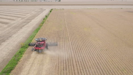 Antena-De-Cosechadora-En-Funcionamiento,-Cosechando-Cultivos-De-Cereales-En-Un-Campo-Agrícola