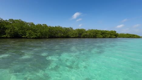 Pov-Navega-Por-La-Laguna-Cristalina-Junto-Al-Manglar-Tropical,-Parque-Nacional-Los-Roques