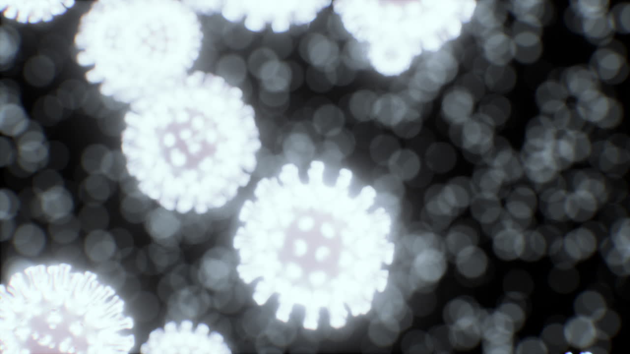 현미경 하 에 있는 바이러스 세포 나 박테리아