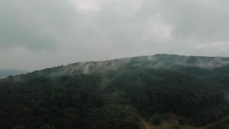 Espeluznantes-Volutas-De-Niebla-Se-Arrastran-Sobre-El-Dosel-Del-Bosque-En-Lo-Profundo-Del-Desierto