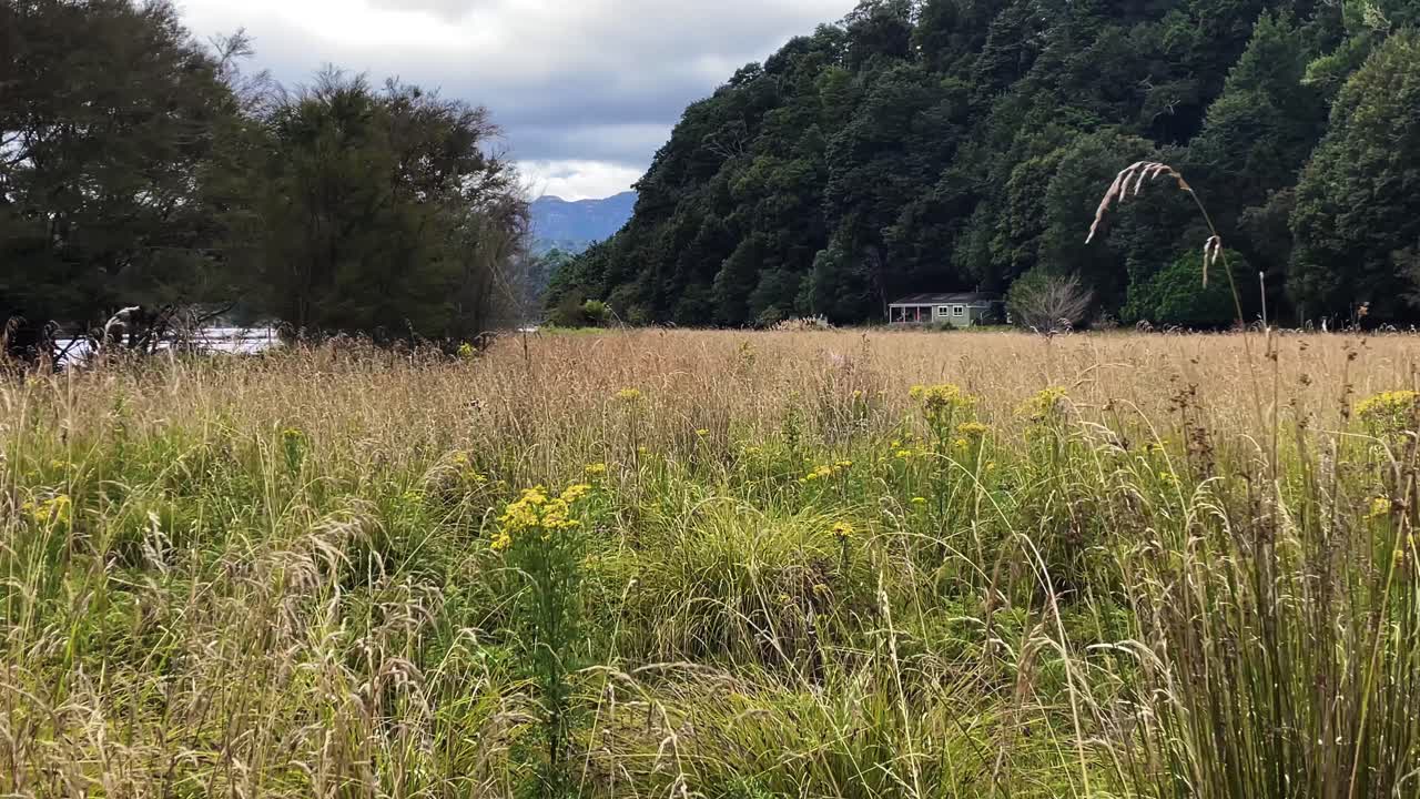 폭풍우 날, 웨이카레모나 트랙, 뉴질랜드에서 멀리 있는 집이 있는 잔디