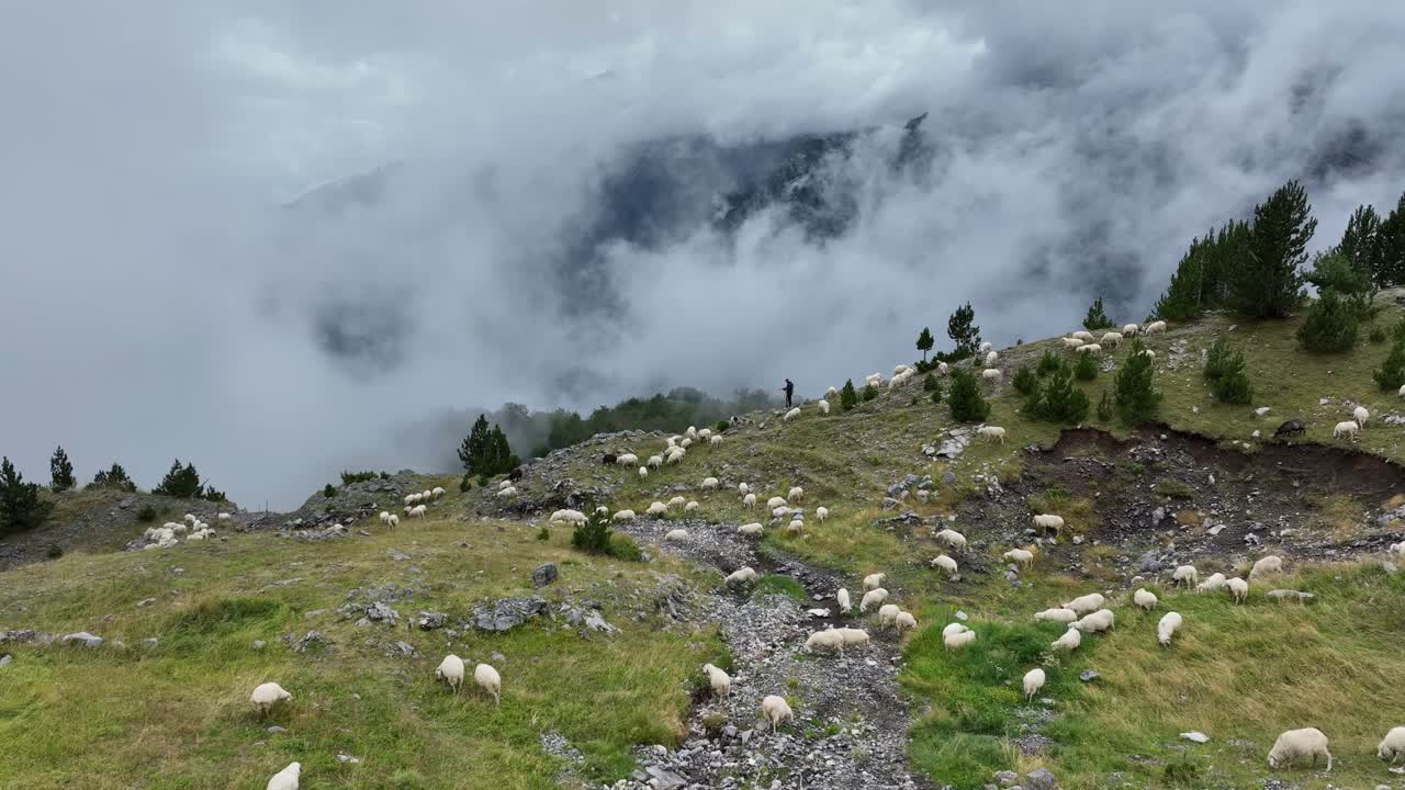 Majestic mountain landscape with sheep grazing, fog-covered peaks, and a lone shepherd