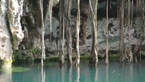 cenote 03