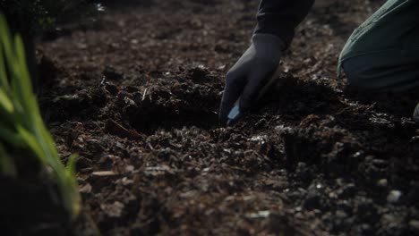 Gardner-Cavando-Y-Poniendo-Plantas-En-El-Suelo.