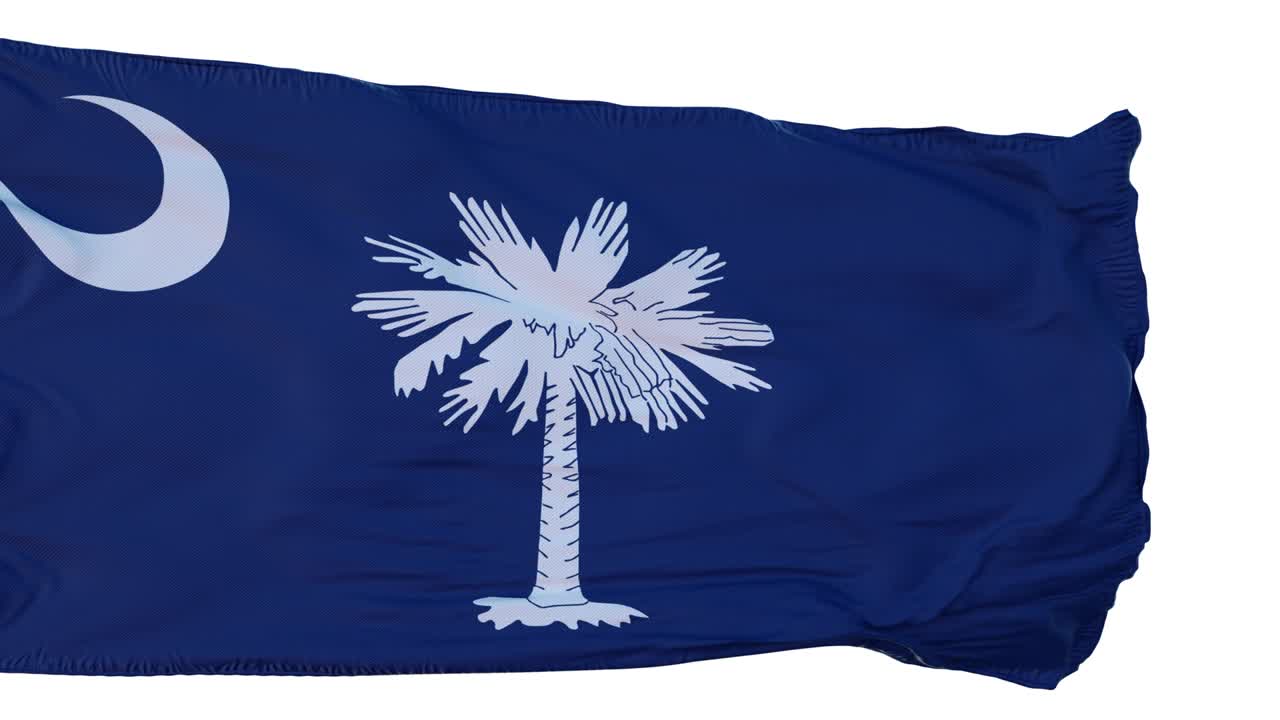 bandera de carolina del sur aislado animación realista. bucle sin costuras, 4k