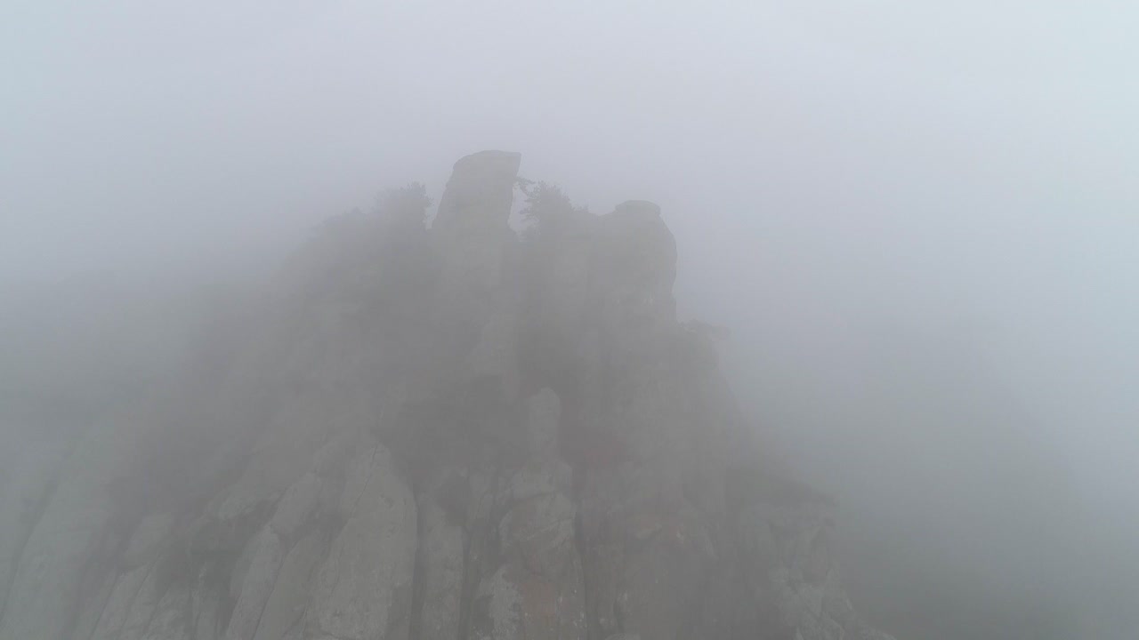 안개가 가득한 산꼭대기