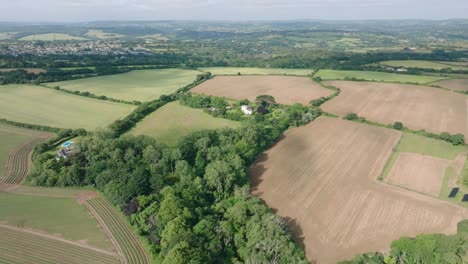 farmhouses nestled in vibrant green woodland surrounded by farmed fields lined with hedgerows. summer, cornwall, uk.