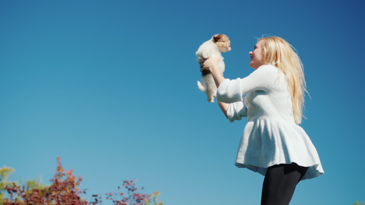 강아지 점프를 들고 젊은 여자