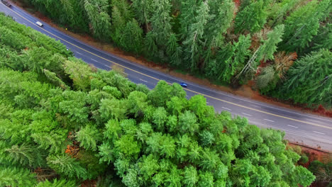 Coches-Conduciendo-Por-La-Carretera-A-Través-Del-Bosque-De-Pinos-En-La-Región-De-Port-Alberni,-Columbia-Británica,-Canadá,-Vista-Aérea-De-Arriba-Hacia-Abajo