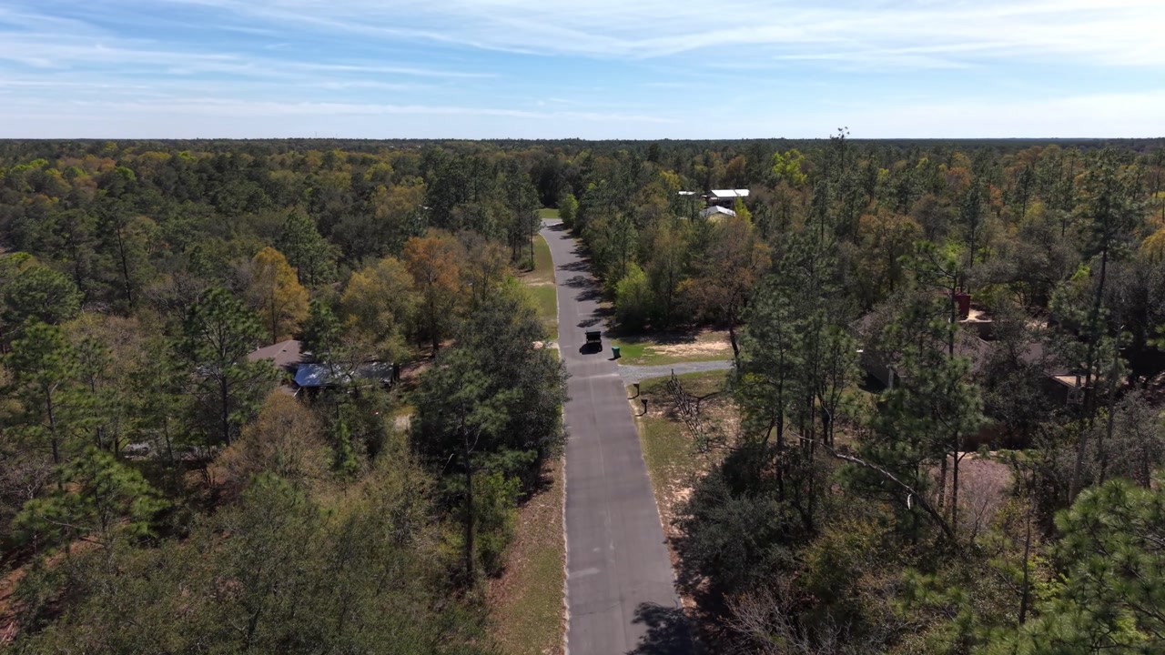 Straight rural road cutting through dense forest landscape during following a car from above in 30A area, Florida, USA
