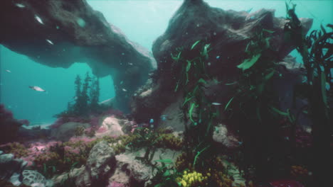 underwater scene with coral reef and marine life