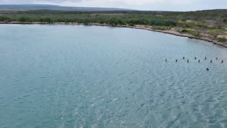 ae4rial flyover mar caribe con playa de cabo rojo durante el día soleado en pedernales