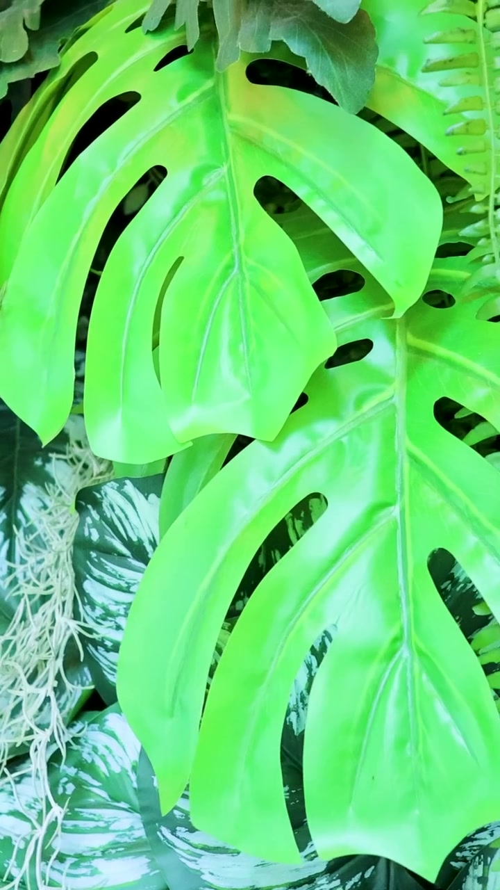 Fogliame verde vibrante con diverse specie vegetali