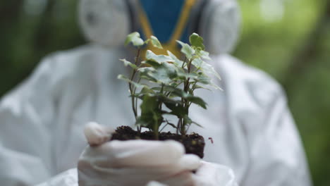 person in protective gear holding small plants