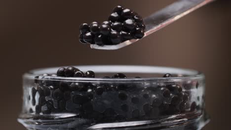 black caviar in glass jar