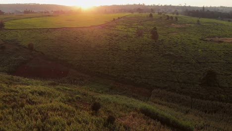 Puesta-De-Sol-En-Los-Campos-De-Té-Cerca-De-Nairobi,-Kenia