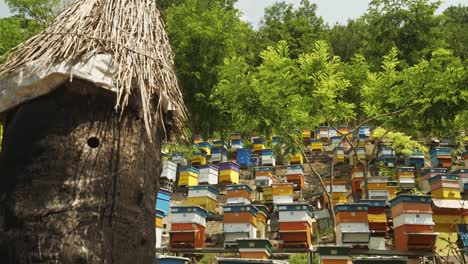 reveal shot of colourful bulgarian beehive on apiculture farm