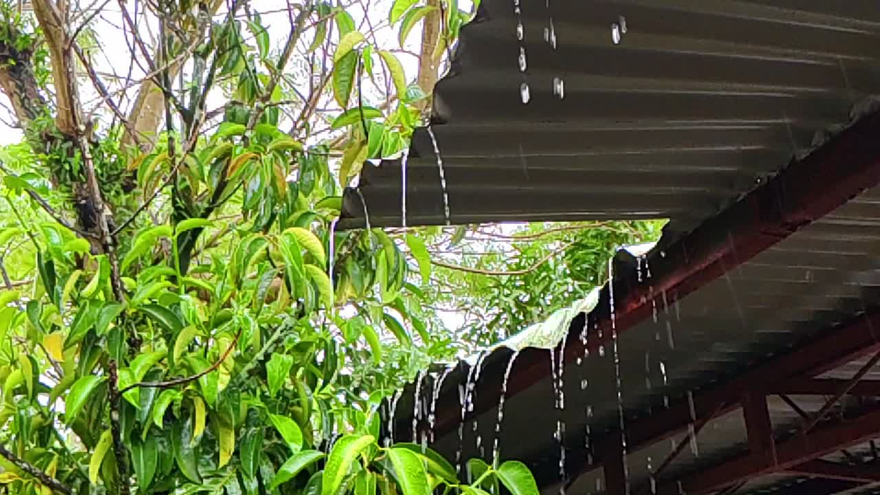 Monsoon rains pouring off a corrugated carport roof in rural Surigao del Norte, Mindanao, Philippines.