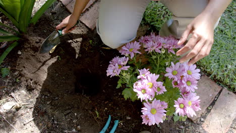 Mujer-Birracial-Mayor-Plantando-Flores-En-Un-Jardín-Soleado-En-Casa,-Cámara-Lenta