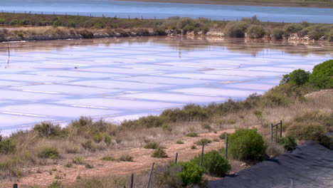 wide-shot-of-a-salt-production-area-flooded