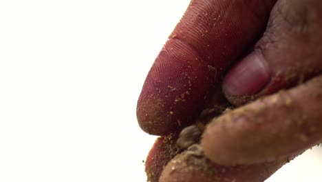 Macro-Shot-Of-Madder-Powder-Being-Made,-Traditional-Organic-Textile-Dye-In-Pakistani-Culture