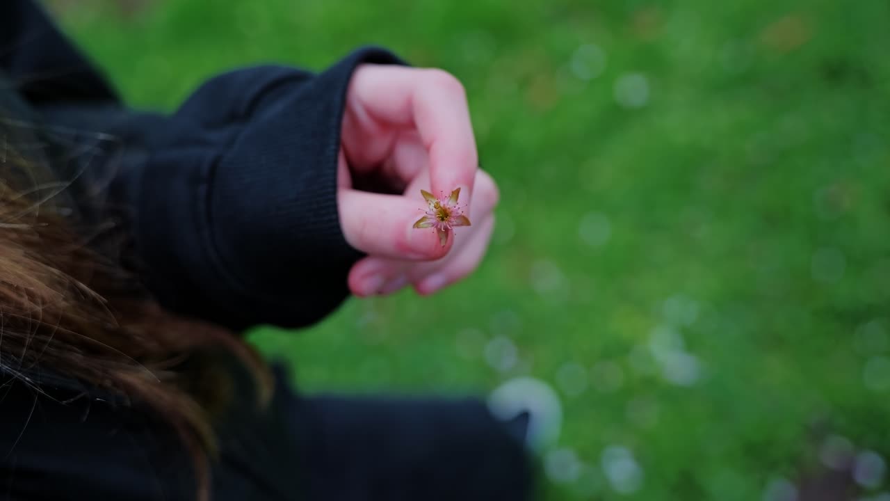 Close up of woman’s fingers holding last petal of blossom slow motion scene