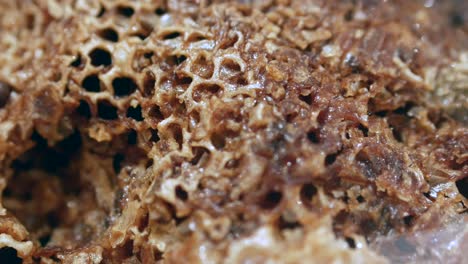 close-up view of honeycomb