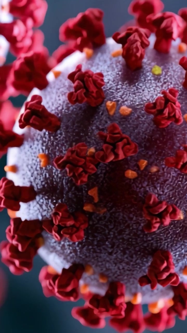 Una Vista Dettagliata della Struttura del Coronavirus: Esplorando le Sue Caratteristiche Uniche, Proteine e Morfologia Superficiale in Immagini Microscopiche