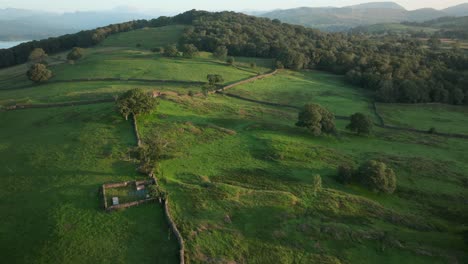 flying over rugged lakeland farmland towards wooded hill at sunrise revealing lake and distant mountains. summer. windermere, cumbria, uk