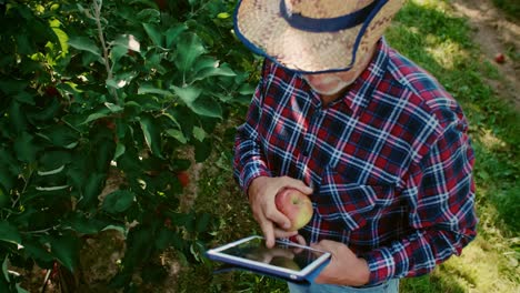 Blick-Aus-Der-Vogelperspektive-Auf-Einen-Modernen-Landwirt-Mit-Digitalem-Tablet