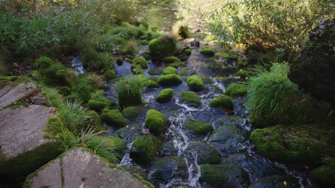 corriente que fluye hacia el río yoshida en un día de verano en gujo hachiman japón
