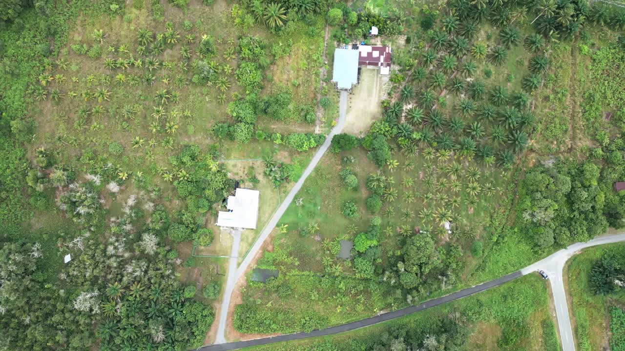 Beautiful Arieal View Of Pueh Village,Green Paddy Field Back Ground Mountain And Facing Open Sea,Kuching,Sarawak.