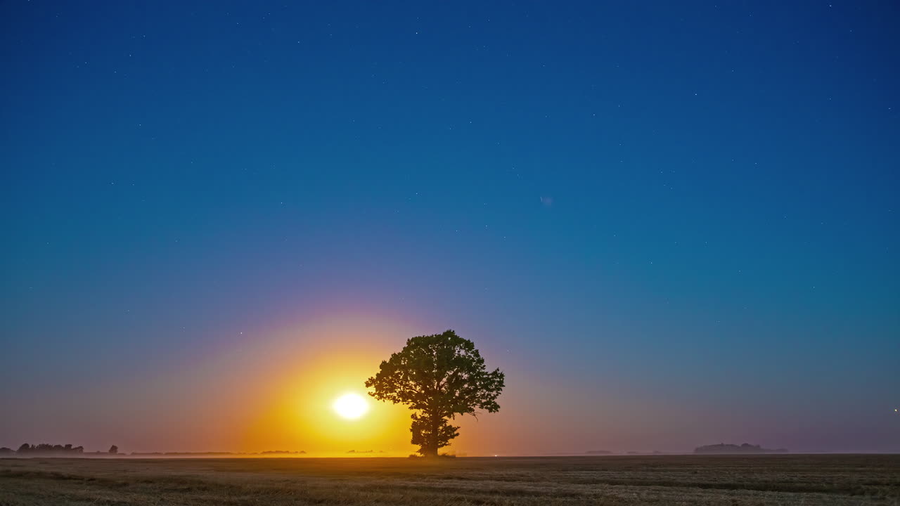 위 에  ⁇ 은 하늘 이 있는 고립 된 나무 뒤 에 아름다운 일몰 타임  ⁇ 스