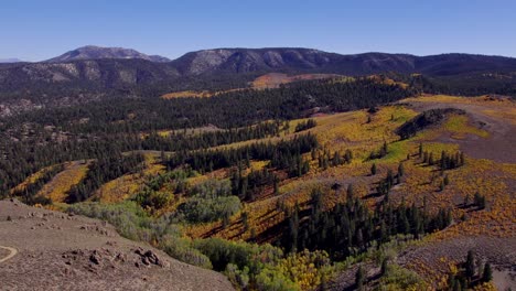 Toma-De-Drones-De-Los-Colores-Del-Otoño-En-Una-Pradera-En-El-Condado-De-Mono,-California:-Retroceda-Para-Revelar-Los-Impresionantes-Colores-Del-Otoño-En-La-Sierra-Oriental.