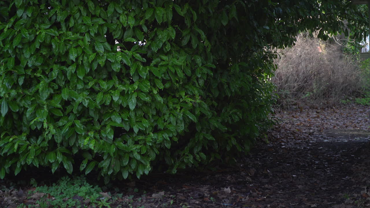 Empty Dorm Room Student, Hostel, Asylum seeker's Accommodation