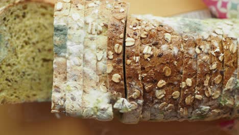 moldy bread: spoiled food close-up