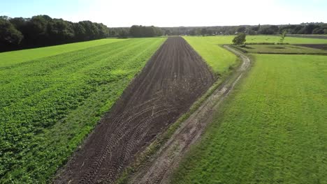 Aerial-footage-of-couple-walking-between-green-fields